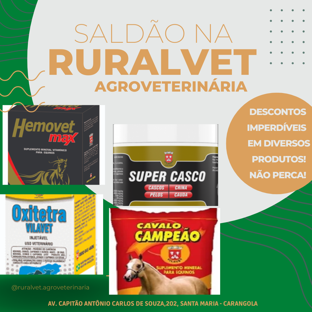 Agro do ES inova com criação exótica de cavalo-marinho para exportação